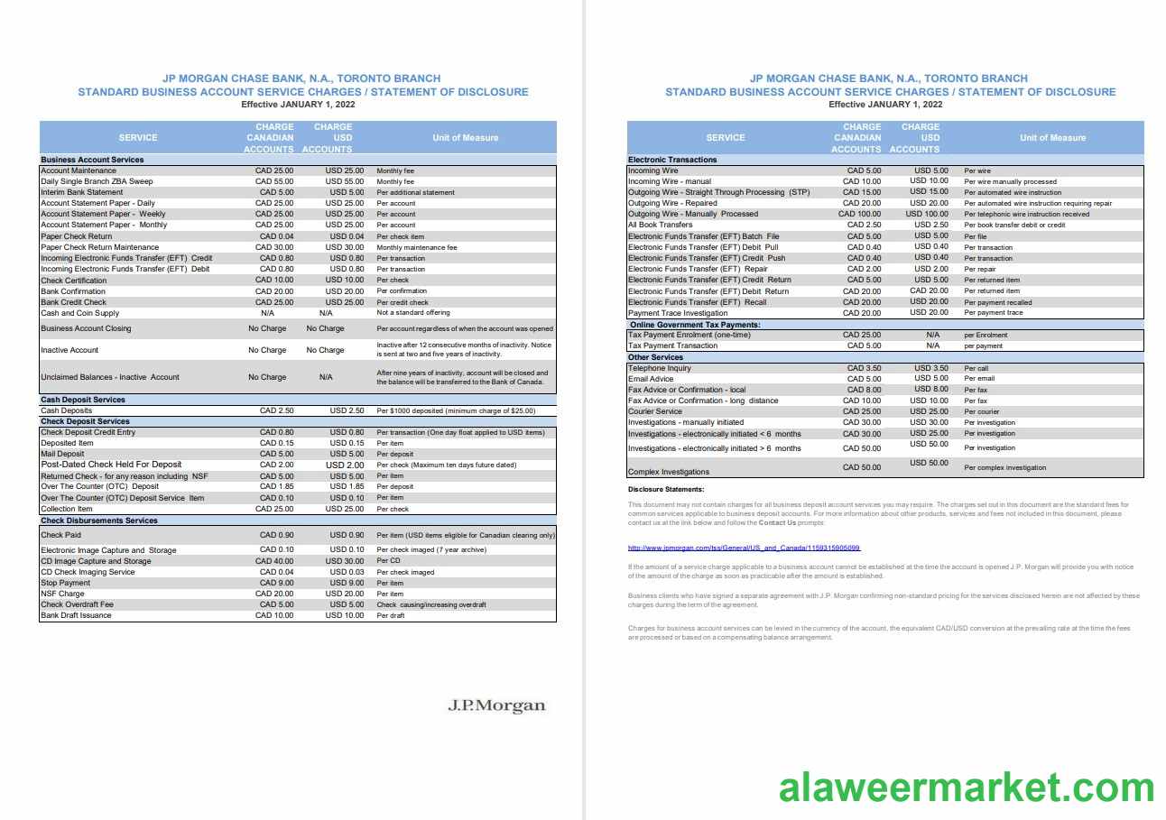 USA JP Morgan bank statement 2 pages VERSION 2